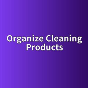 How to Organize Cleaning Products So You Do Not Mix the Wrong Things 2 organize cleaning products 1788236549