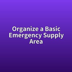 organize a basic emergency supply area 1788793691